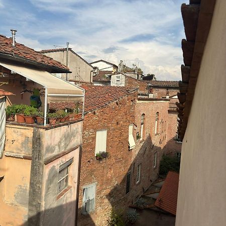 La Casa Del Galletto - At The Top Of The City Lucca Bagian luar foto
